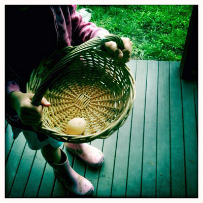 A basket with one egg