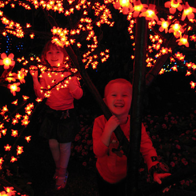 Do I mummy, take you, children, for another year?