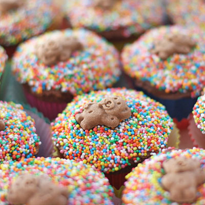 sally-wise-chocolate-cupcakes