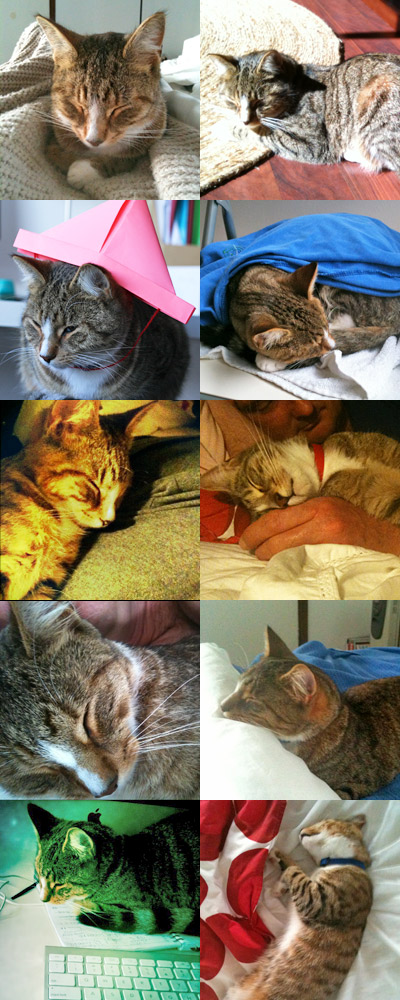 On chairs, in a hat, stretched out...