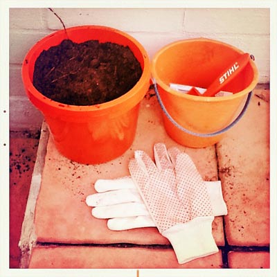 Miss F was proud of her hard work.