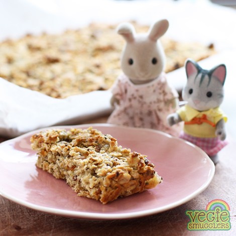 vegie-smugglers-fruit-seed-bars